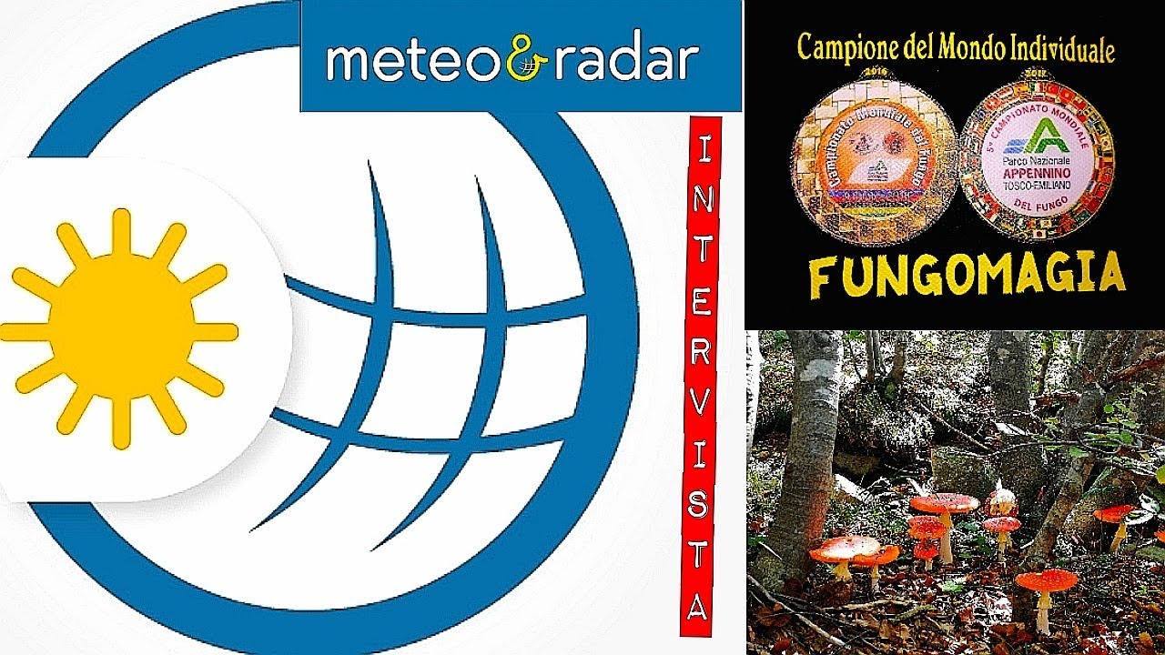 Интервью на Meteo Radar 