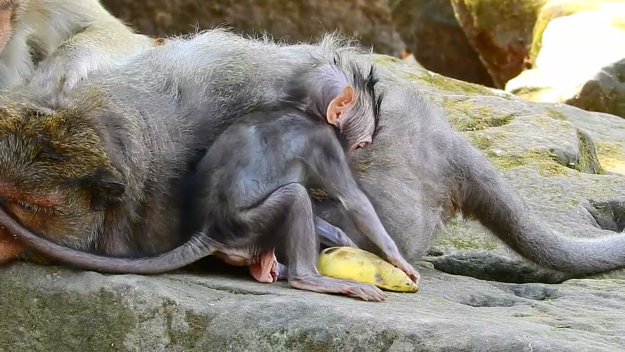 Don't worry Mummy! I can eat by myself!