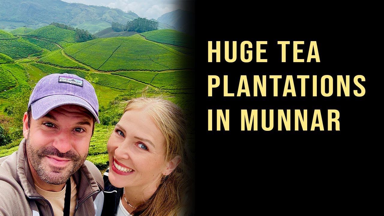Riesige Teeplantagen in Munnar 🇮🇳