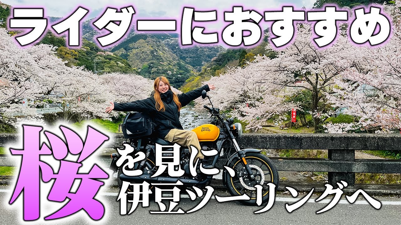 春を求めてバイクを走らせていたら最高の○○○見つけました。