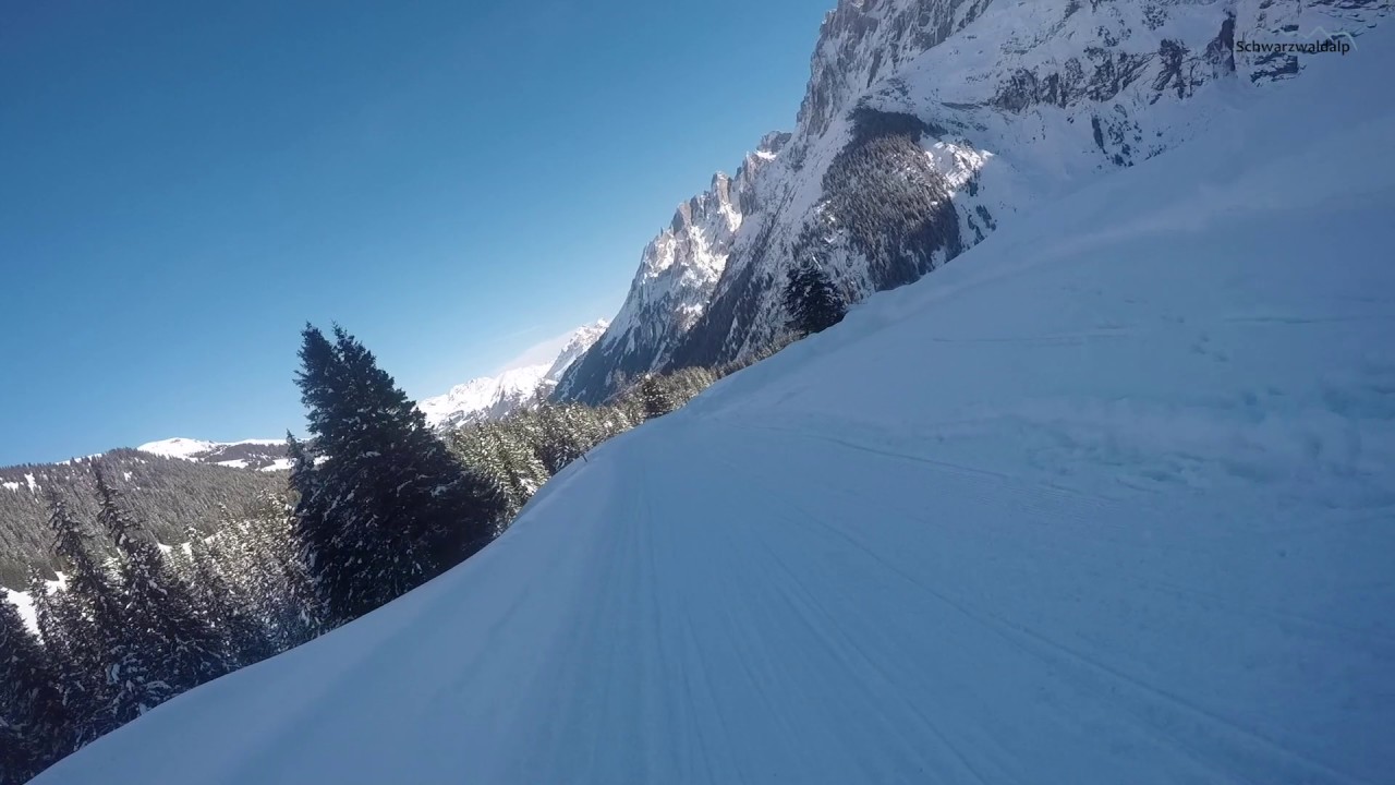 Schwarzwaldalp Meiringen Schlitteln
