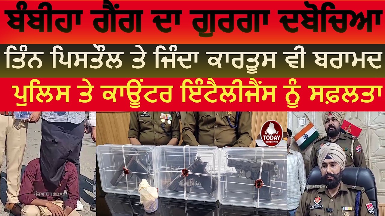 Bambiha gang member arrested with three pistols|faridkot police one arrest with 3 pistols|faridkot