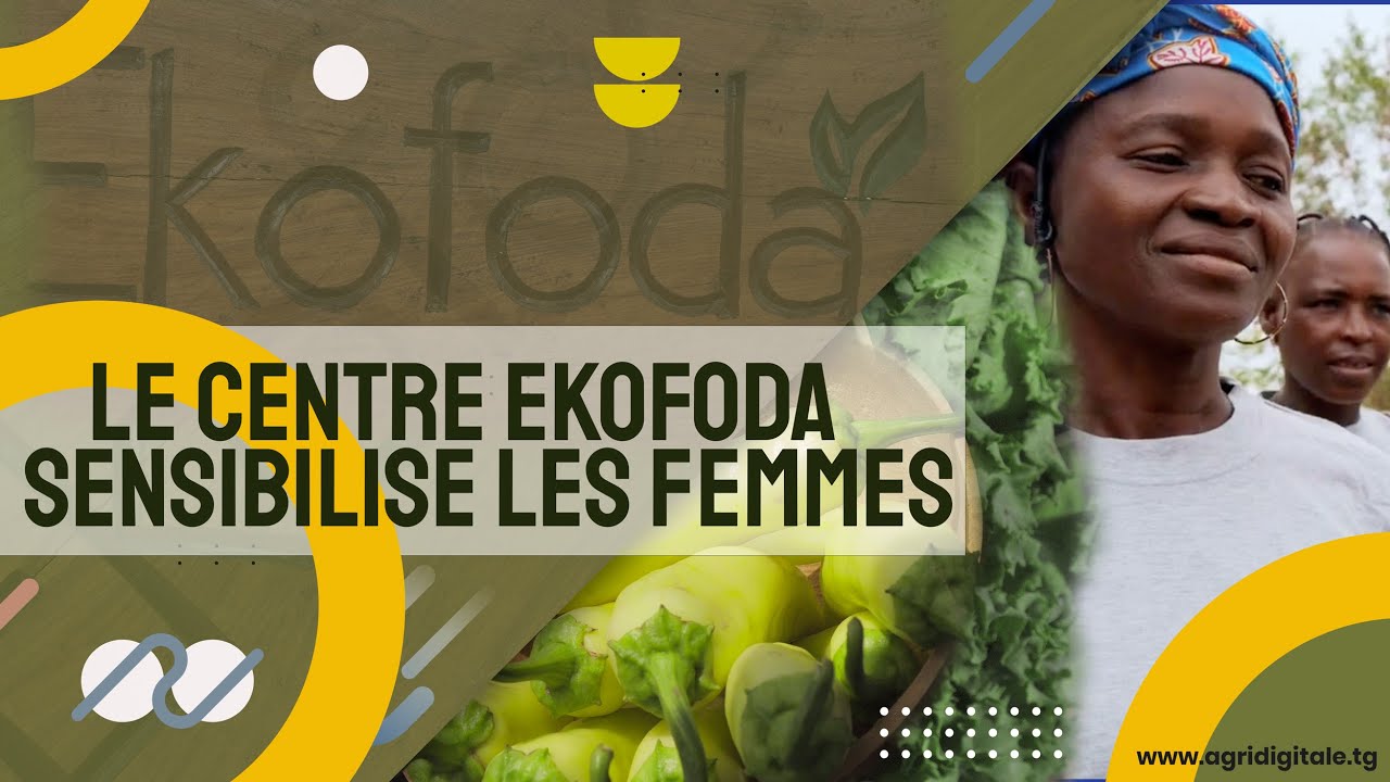 Togo - Les productrices de Tchébébé outillées aux meilleures pratiques agroécologiques