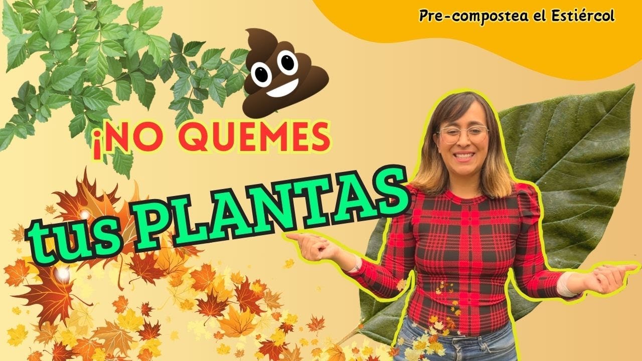 🌳 Como usar ESTIERCOL como FERTILIZANTE en tus plantas SIN QUEMARLAS ❌