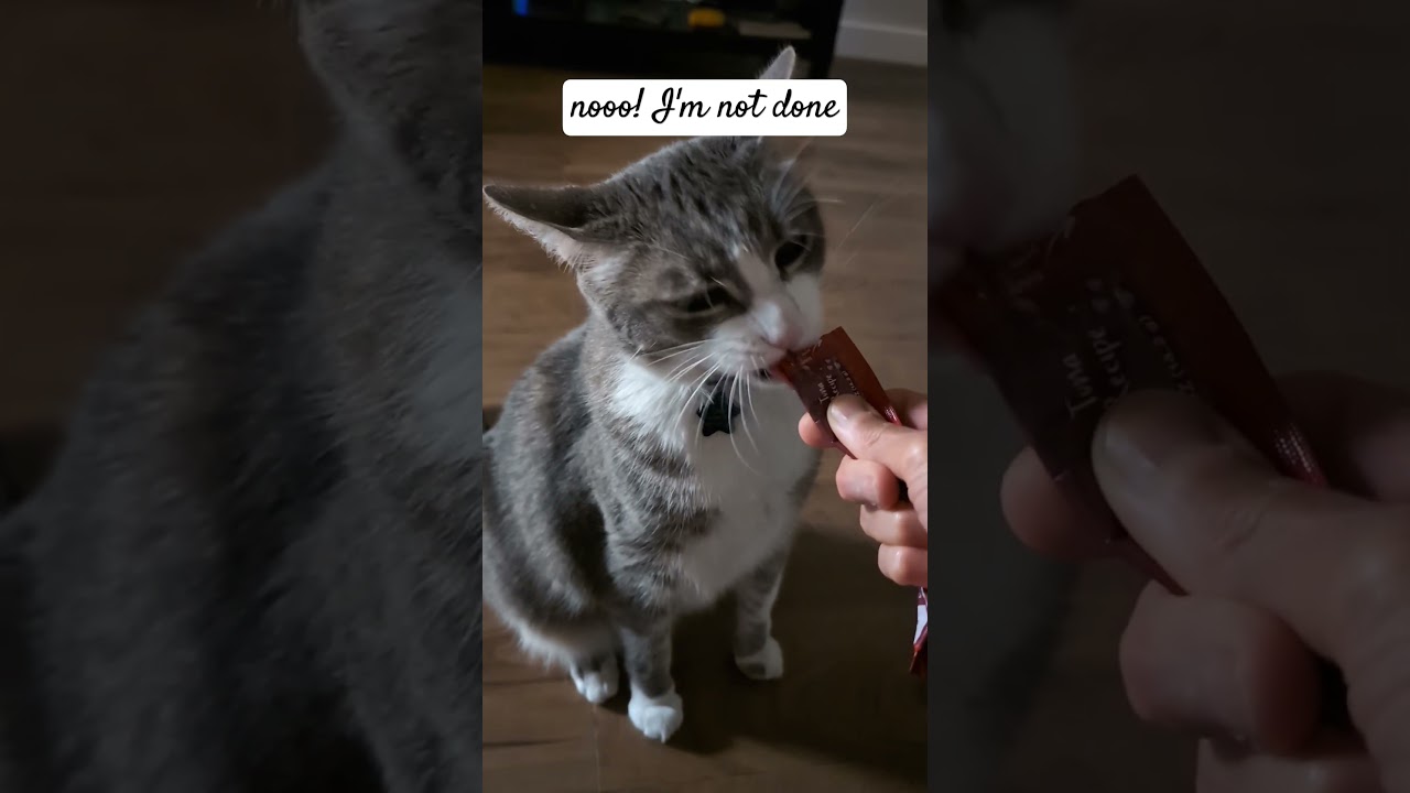 look at his cute gesture!