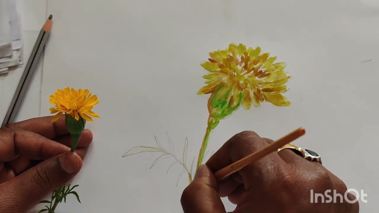 TCC. Painting From Nature(Lower, Higher)paper -4🎨🖌️#art #trending #tcc#education #drawing #painting 