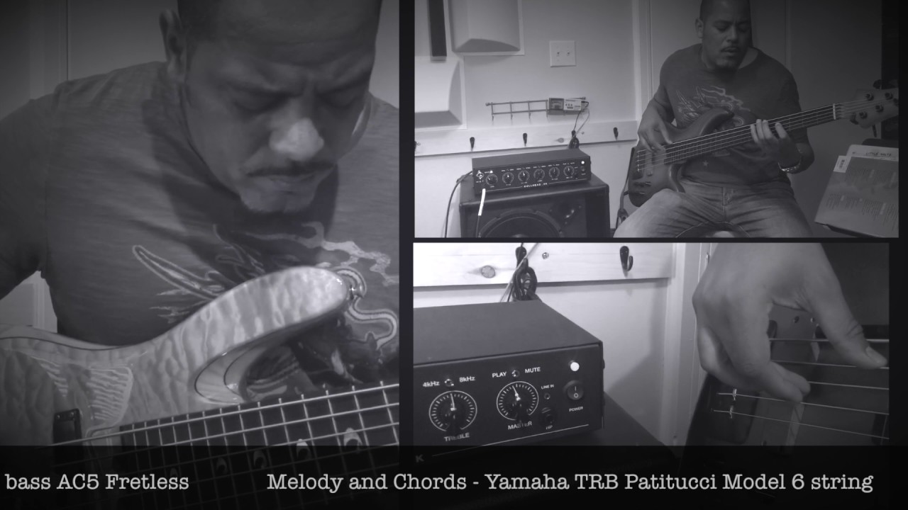 Trickfish Amplification Bullhead .5K - Ernest Tibbs Demo