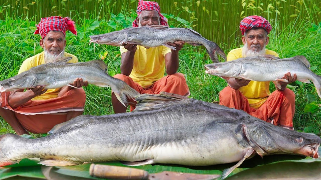 The Giant River-Catfish Cutting & Cooking - Expensive Ayer Fish Curry Recipe of Village Grandpa