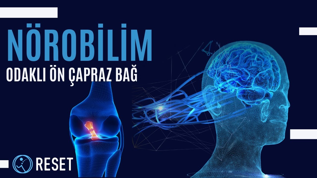 ÖN ÇAPRAZ BAĞA NÖROBİLİMSEL BAKIŞ