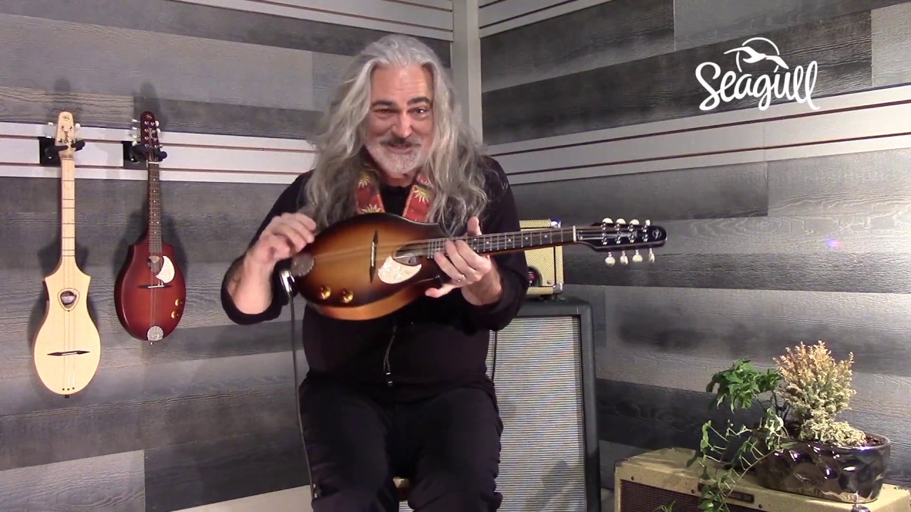Jeff Smallwood playing the Seagull S8 EQ Mandolin.
