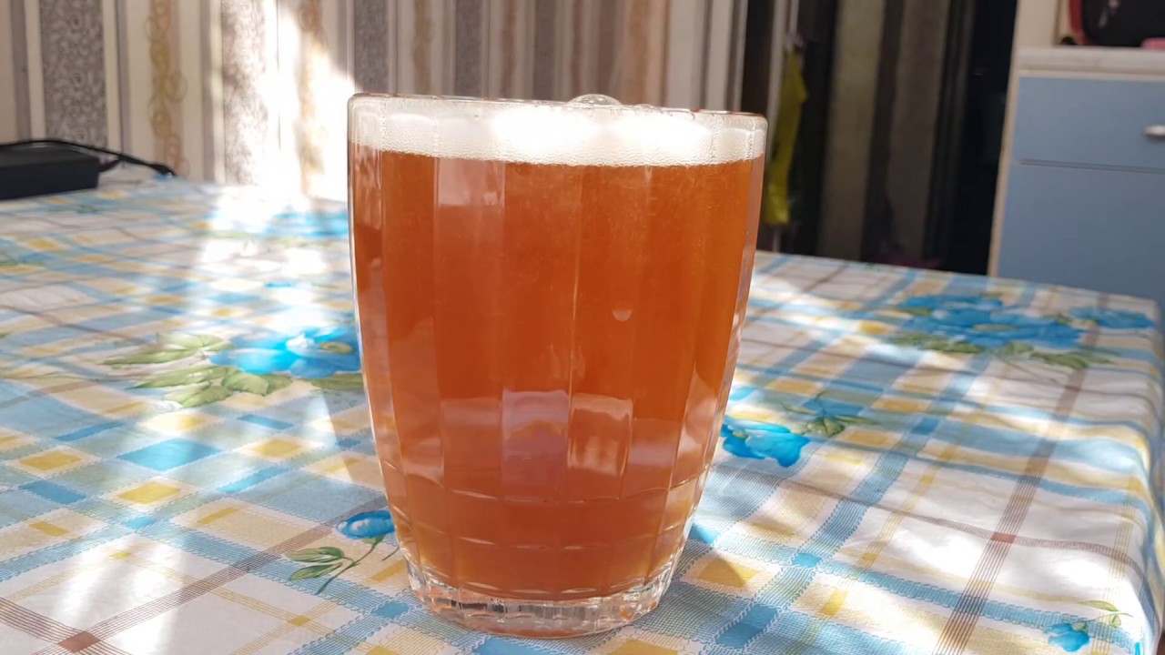 ДЕГУСТАЦИЯ ПИВА АРА(AMERICAN PALE ALE)