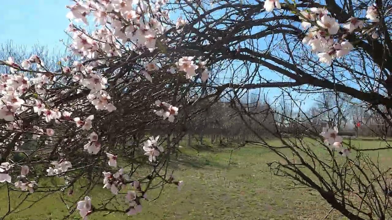 [VLOG]  Turkey - Isparta - Yalva&ccedil;. В гостях у Gencer Kondal.