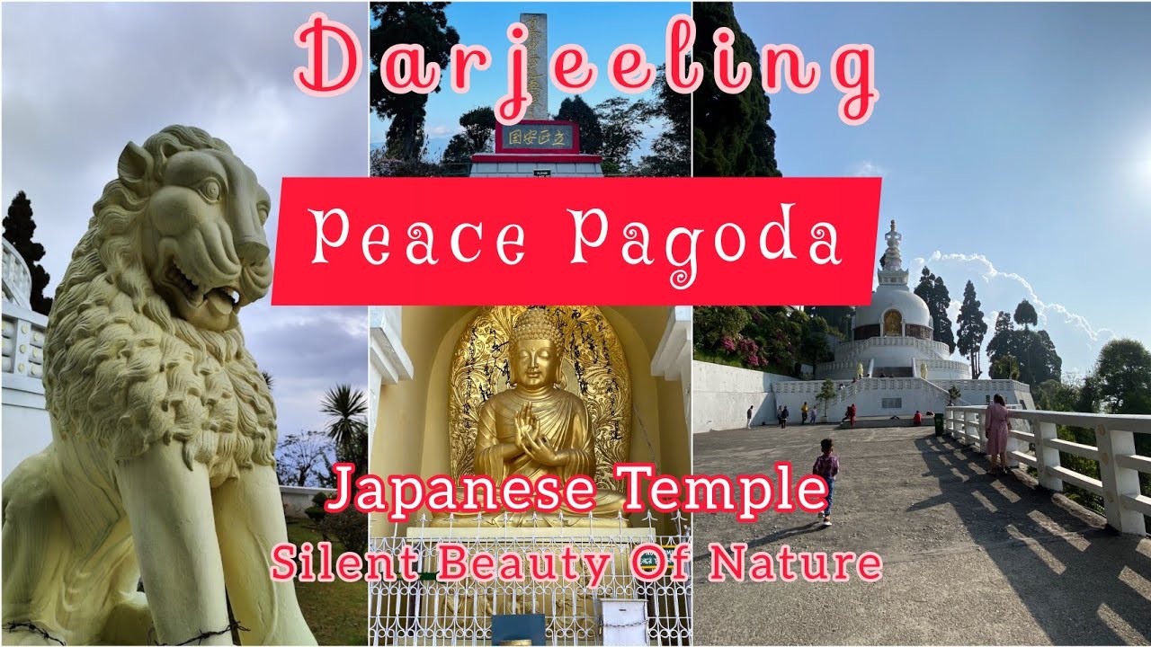Peace Pagoda || Japanese Temple || Darjeeling || Sutapa Ray Nandi ❤️❤️