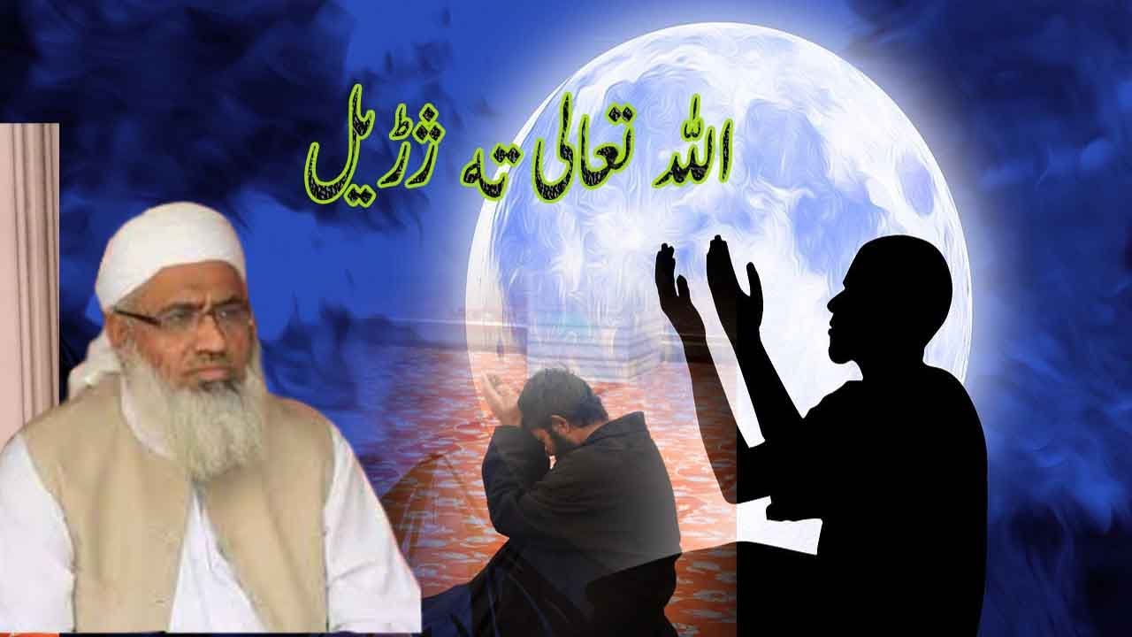 الله تعالى ته ژڑا || Pashto Bayan || Molana Idrees Sahib Islam Rise