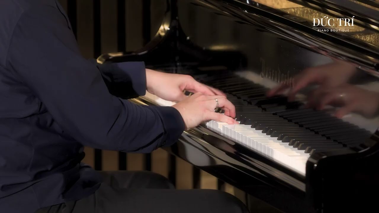 J.S.Bach / Busoni: Chaconne in D minor - Luu Duc Anh