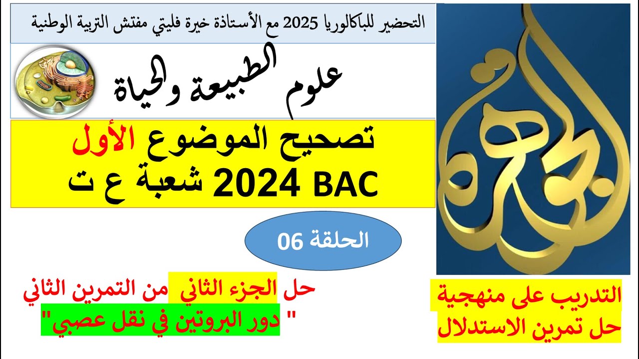 حل الجزء الثاني من تمرين الصرع باك 2024 مع تصحيح ورقة يونس