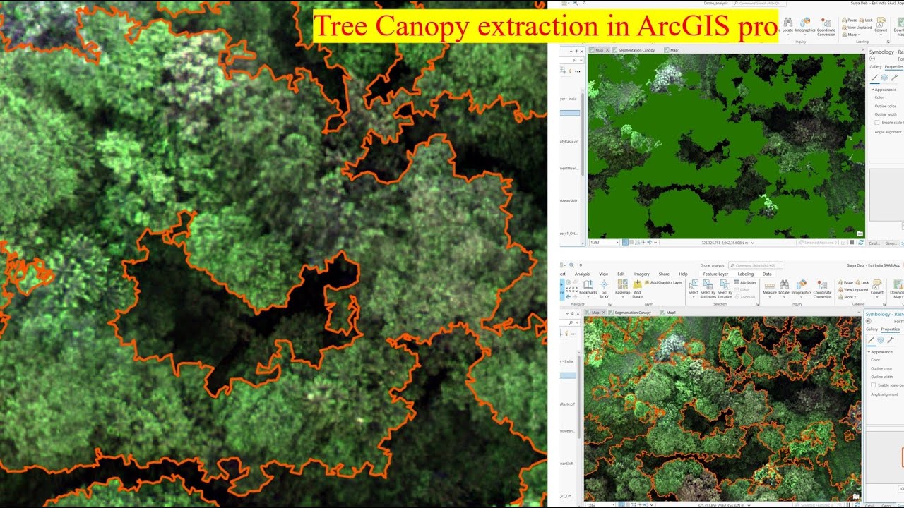 Tree canopy extraction in ArcGIS Pro