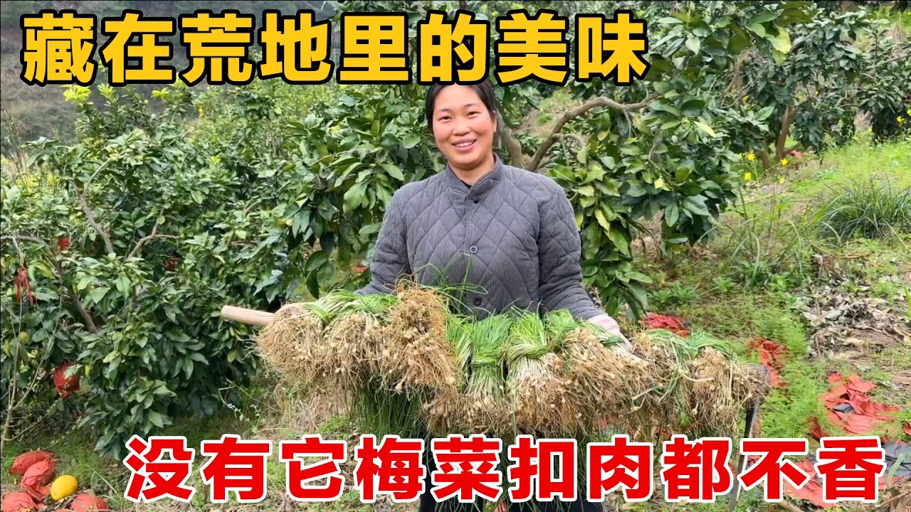 藏在荒地里的美味！本地人独有的秘密基地，野葱多到挖不完！