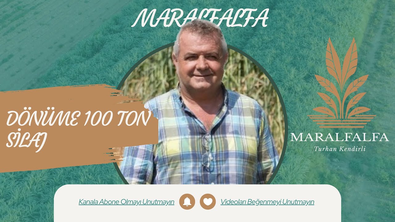 BİR DÖNÜMDEN 100 TON | MARALFALFA | Çumra - KONYA | MARALFALFA TURHAN KENDİRLİ