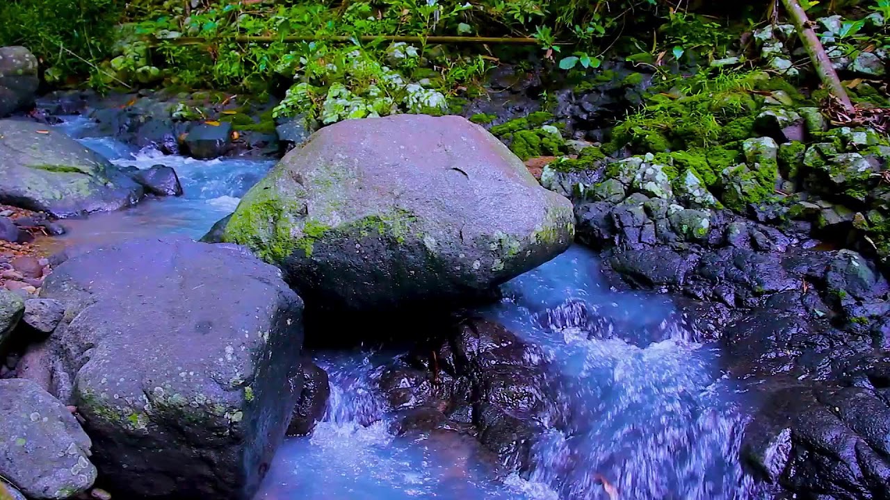 Mountain River Soothing Flow | Nature White Noise for Insomnia Relief and Calm Nights