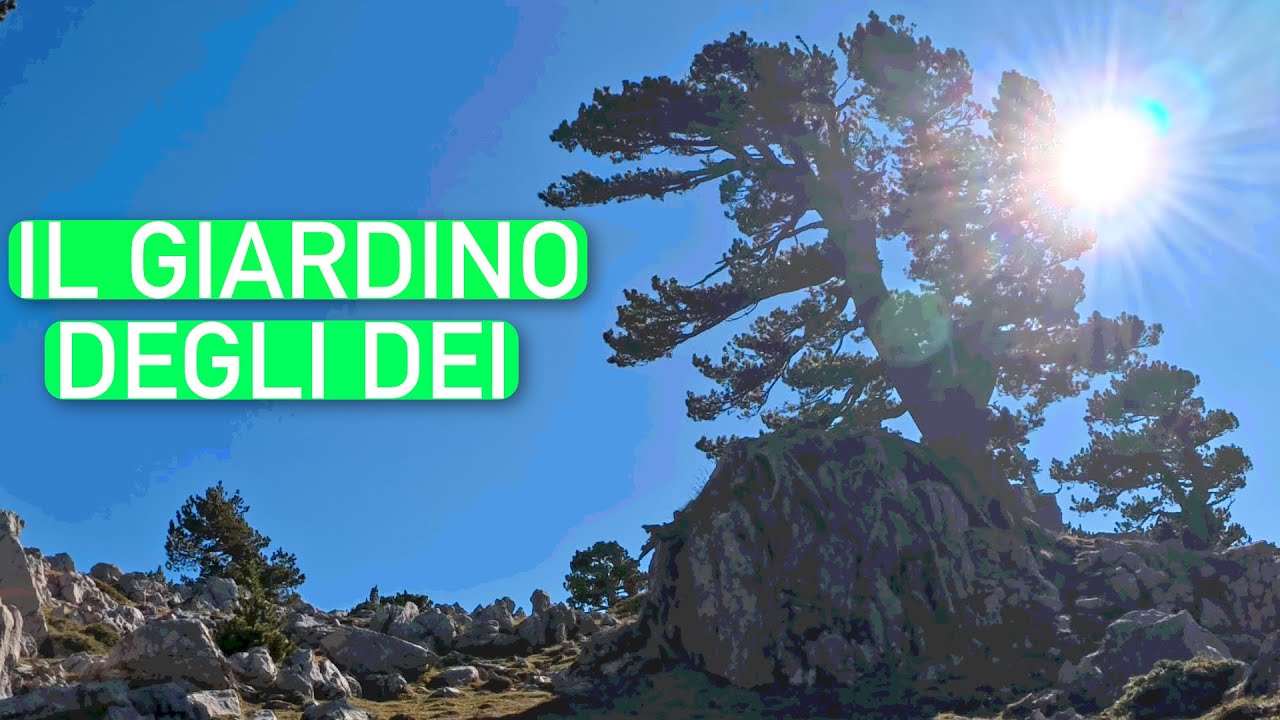 Sei al tuo primo Trekking sul Pollino? La mia esperienza dal Santuario del Pollino a Serra di Crispo