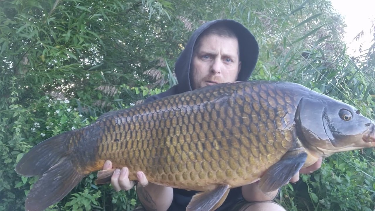 oxlease lake linear complex 2022