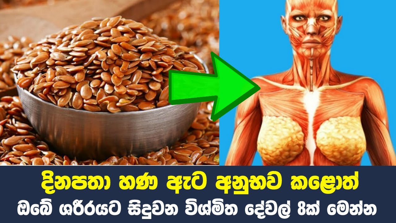 දිනපතා හණ ඇට අනුභව කළොත් ඔබේ ශරීරයට සිදුවන විශ්මිත දේවල් 8ක් | 8 Health Benefits Of Eating Flaxseeds