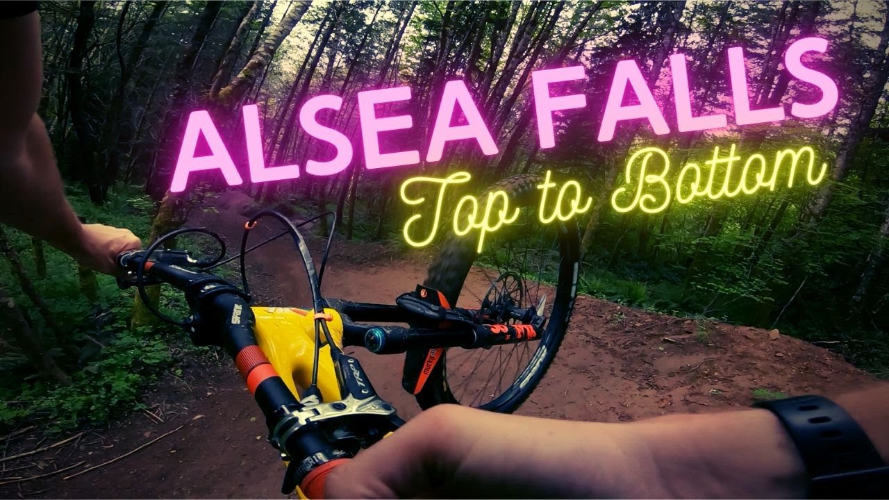 All the best Alsea Falls Trails in One Run.