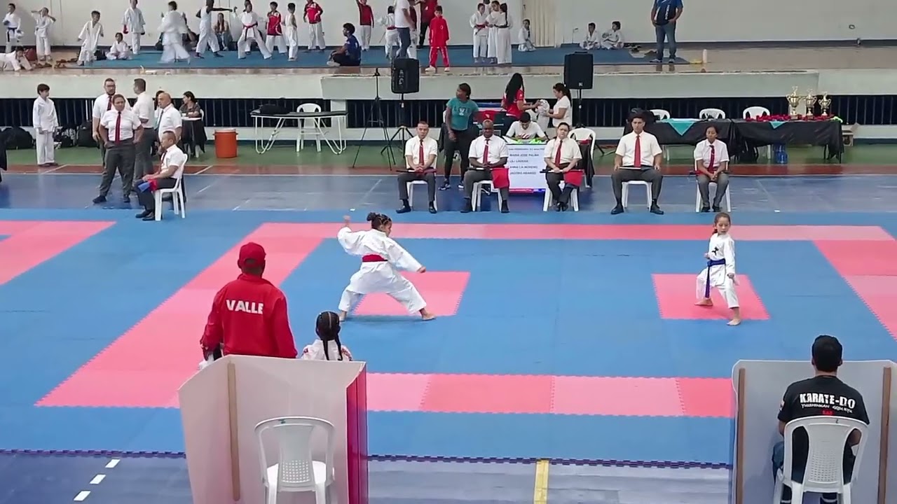 Departamentales karate do - Kata categoría 6-7 años 