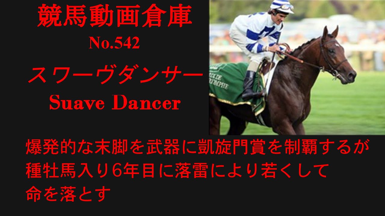 【競馬】スワーヴダンサー　Suave Dancer【No542】