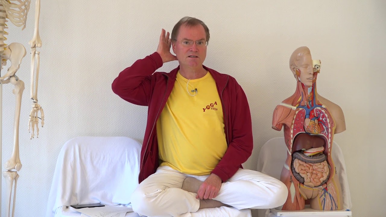 Tinnitus - Yoga hilft