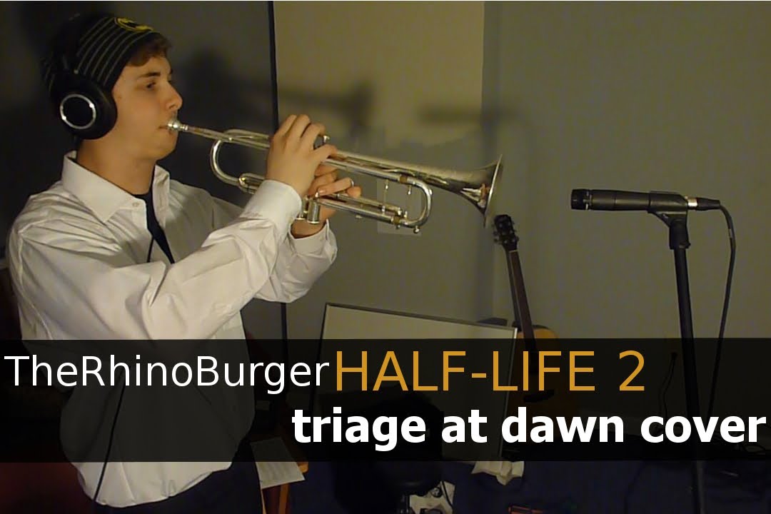Half-Life 2 - Triage at Dawn Guitar Cover ft. Barry King
