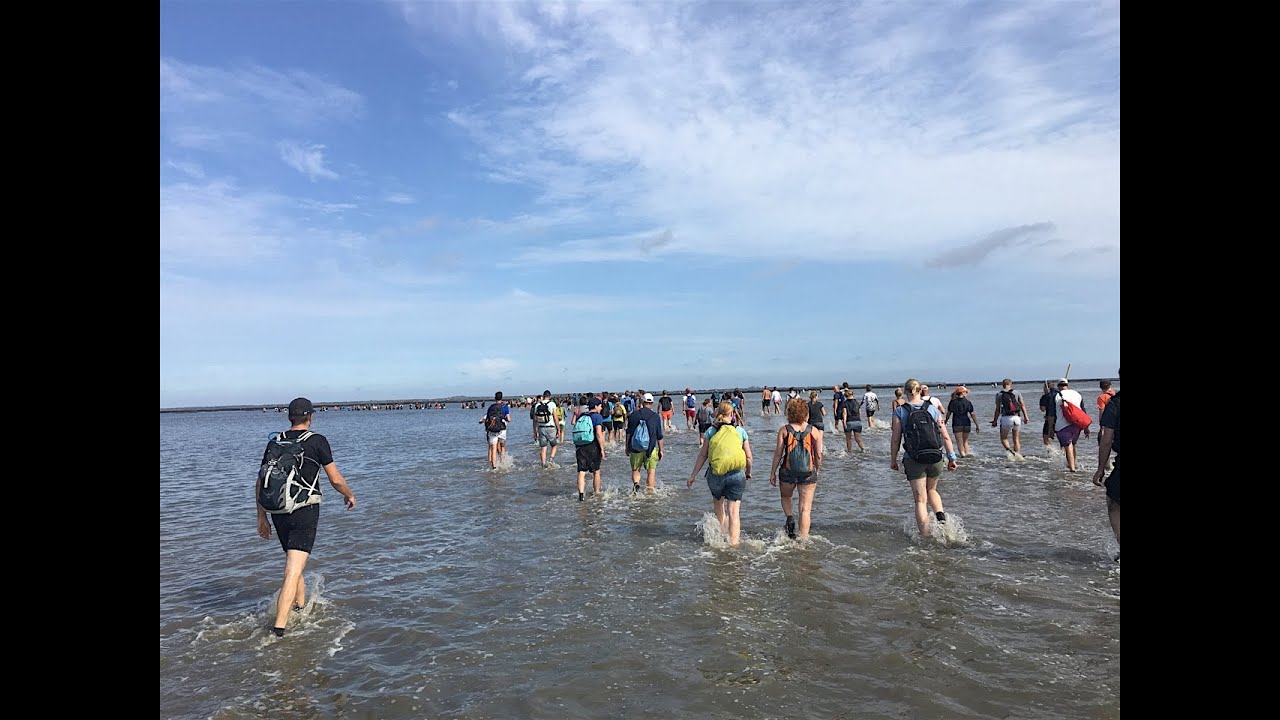 Wadlopen Ameland 2016