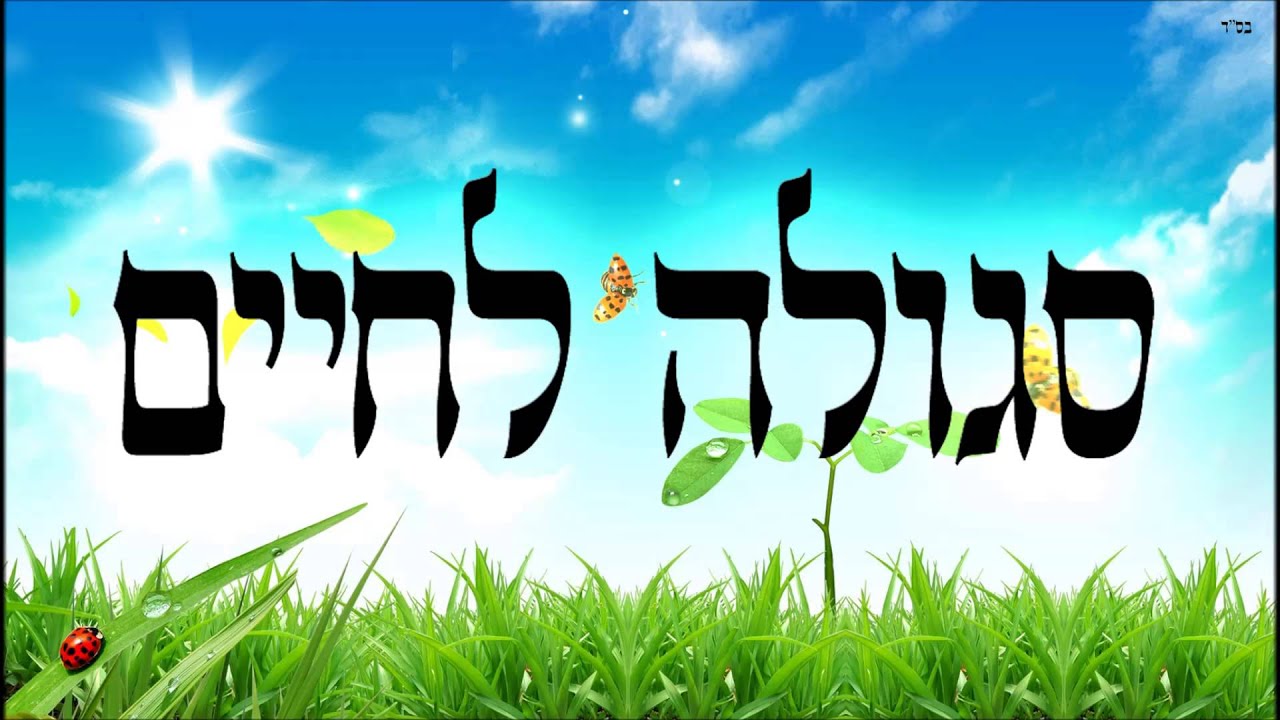 סגולה לחיים - שיעור תורה בספר הזהר הקדוש מפי הרב יצחק כהן שליט"א