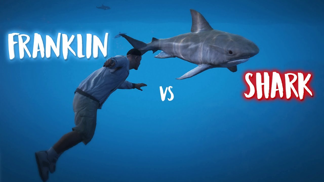 Franklin VS Shark | GTA 5 Franklin Epic Shark Encounter And Redemption