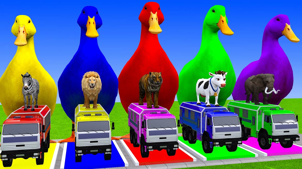 Long Slide Game with Cow Elephant Gorilla Hippopotamus Tiger 3d Animal Game Funny 3d Animals