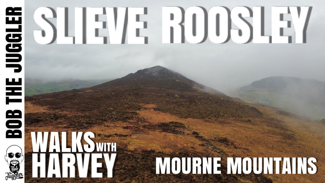 Walks with Harvey - Mourne Mountains, Slieve Roosley