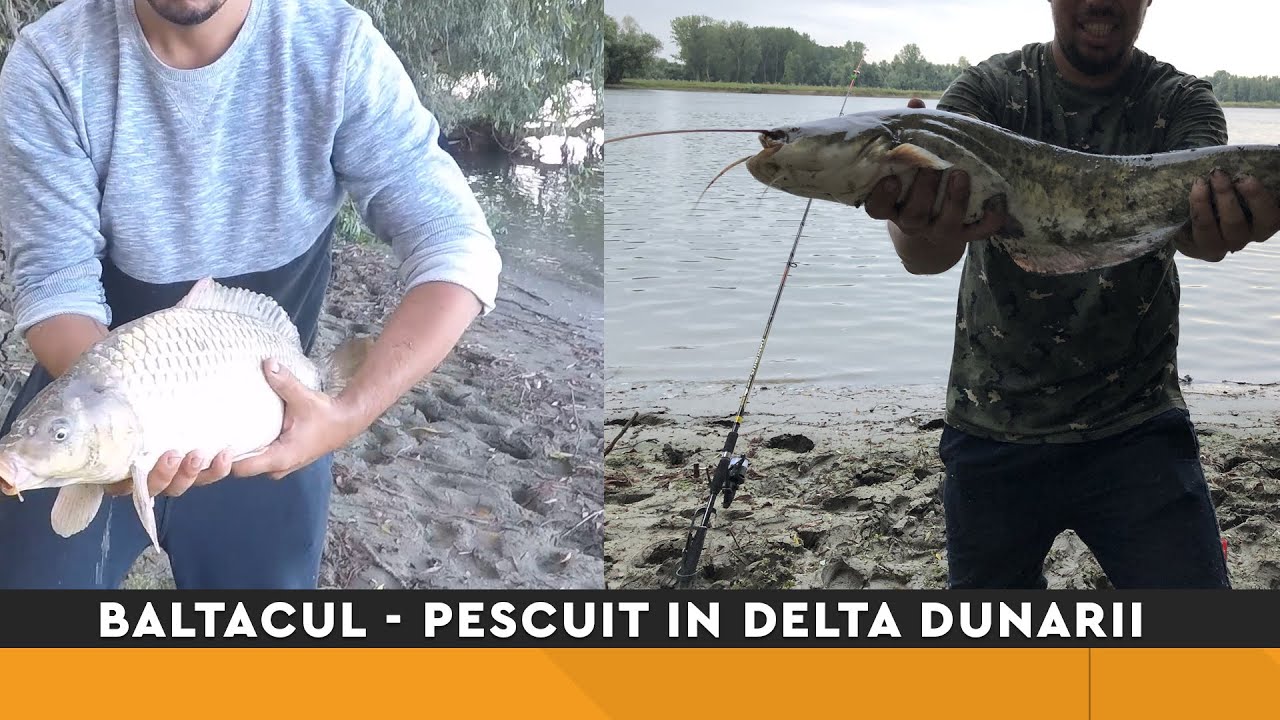 Pescuit in Delta Dunarii - bratul Sfantu Gheorghe august 2019