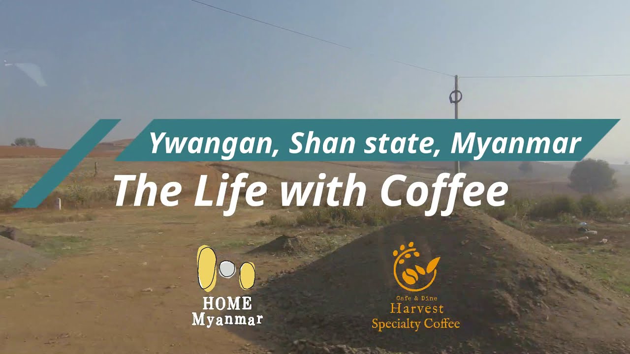 The Life with Coffee in Ywangan, Myanmar　コーヒーのある暮らし in ユワンガン、ミャンマー