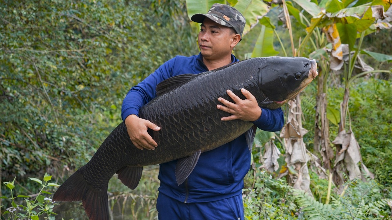 Trieu Thanh Van Fishing in remote areas of Vietnam resulted in the catching of a giant fish.
