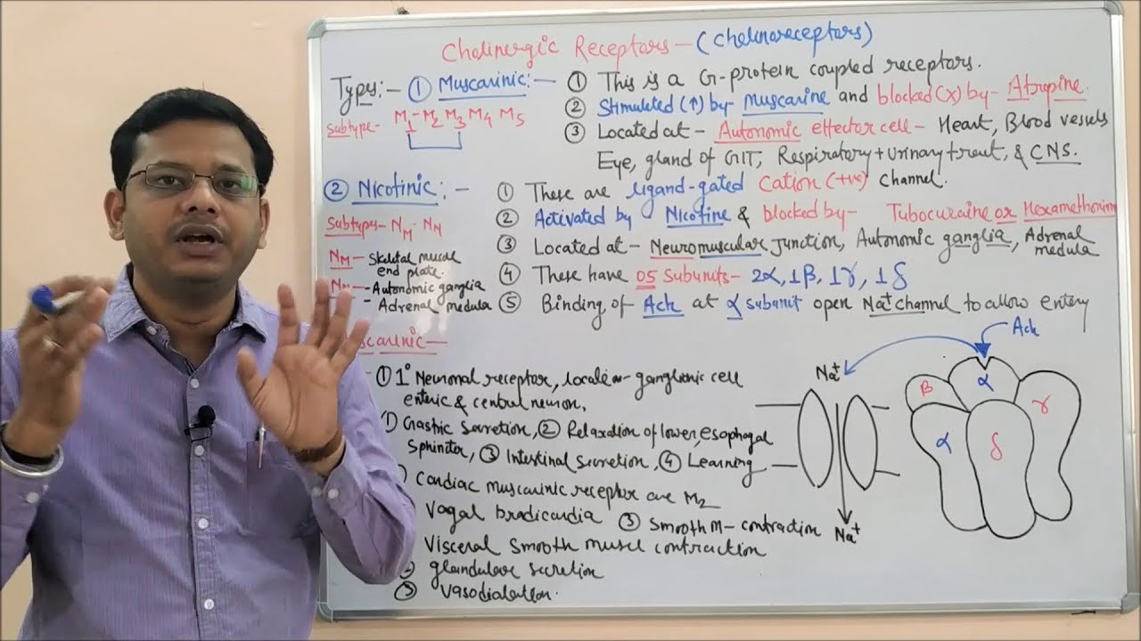 Cholinergic Drugs (Part 02) | Muscarinic & Nicotinic Receptors | Cholinergic Receptors | Cholinergic