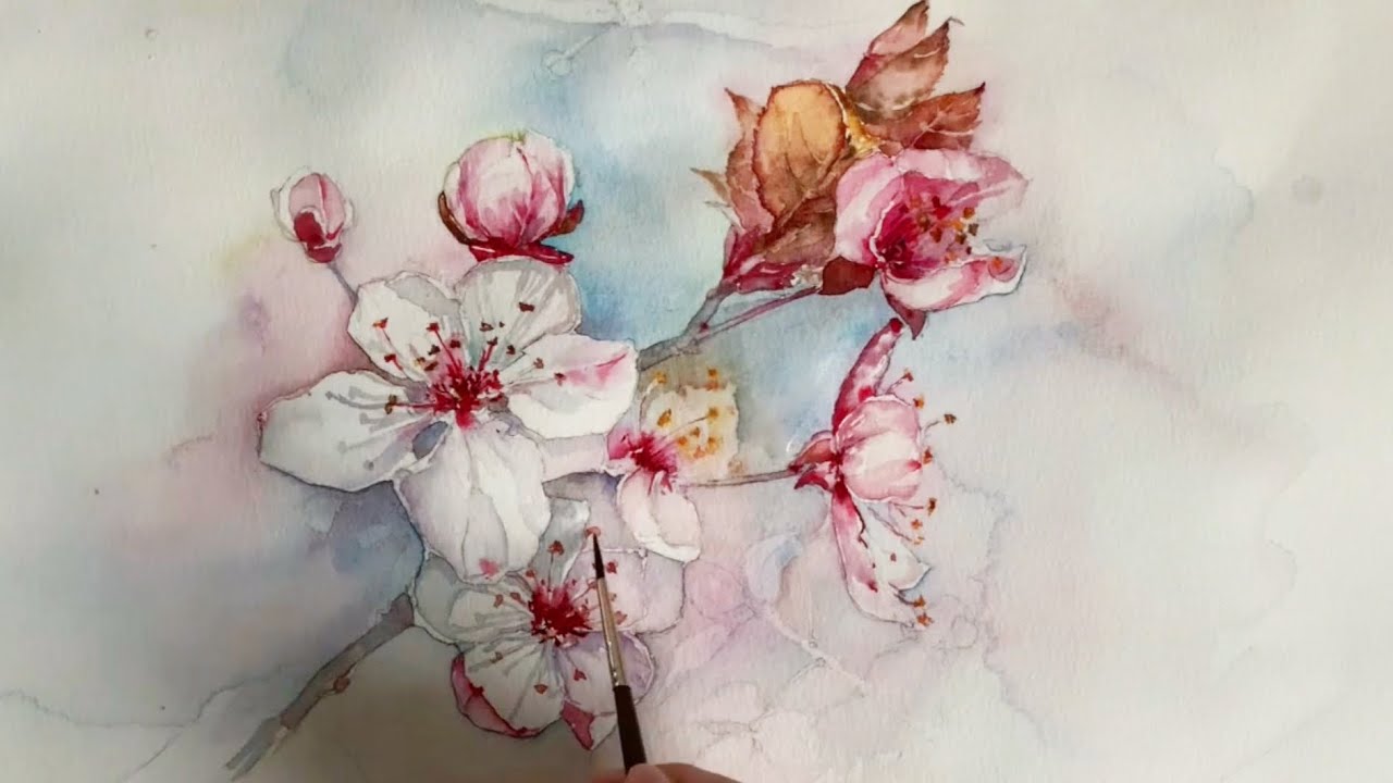 How to Paint Watercolor Flowers «Apple Blossom»