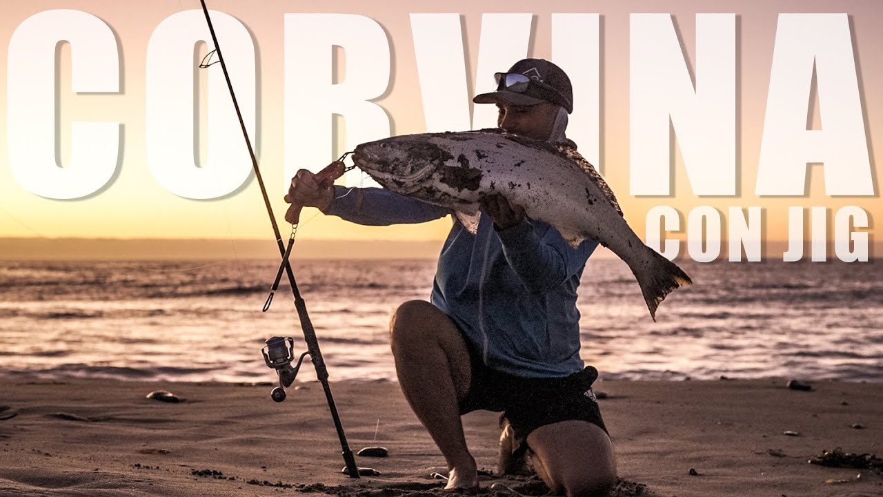 Pesca de CORVINA con JIG - 5.5 KG !!