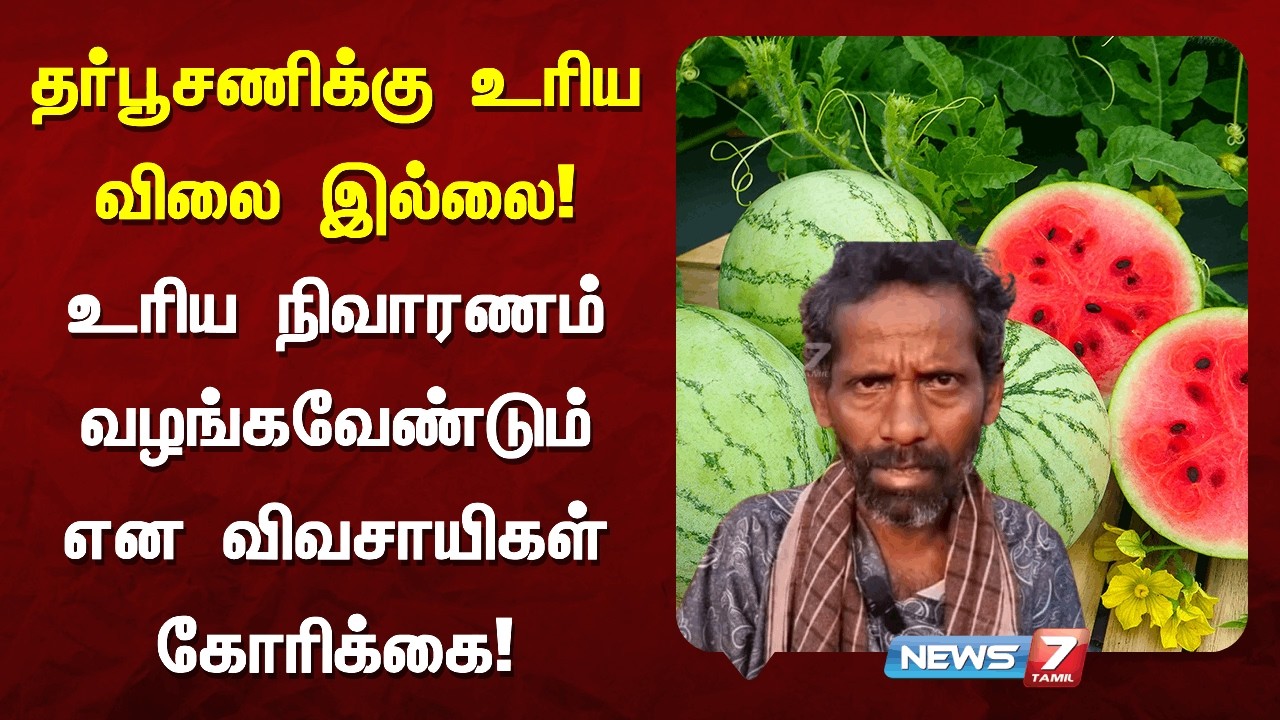 தர்பூசணிக்கு உரிய விலை இல்லை NEWS7 TAMIL