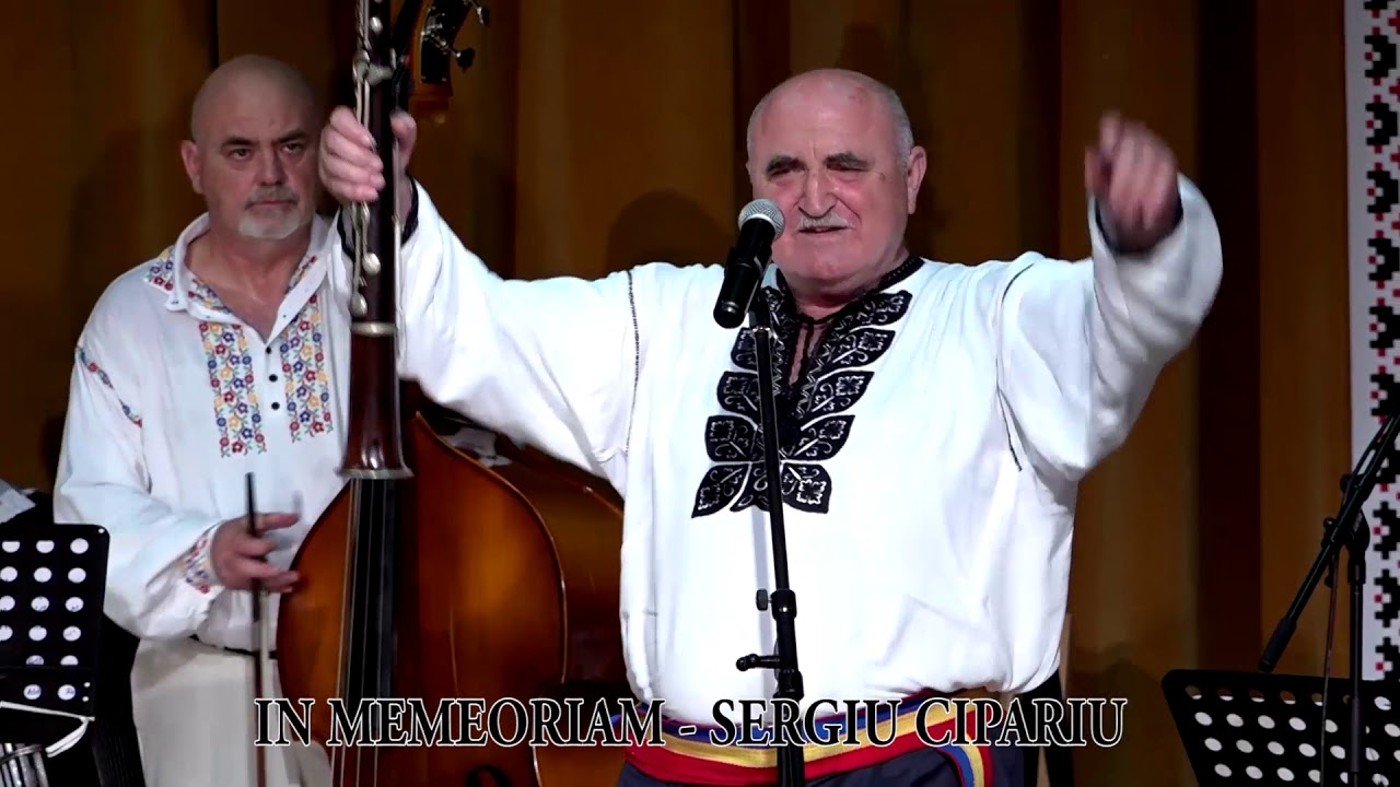 IN MEMEORIAM SERGIU CIPARIU