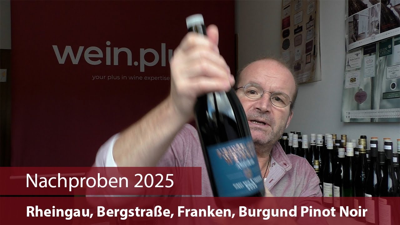 Nachproben 2025 | Rheingau, Bergstraße, Franken, Burgund Pinot Noir