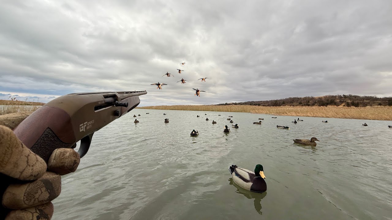 Public Land Solo Duck Hunting the River! (Catch and Cook)