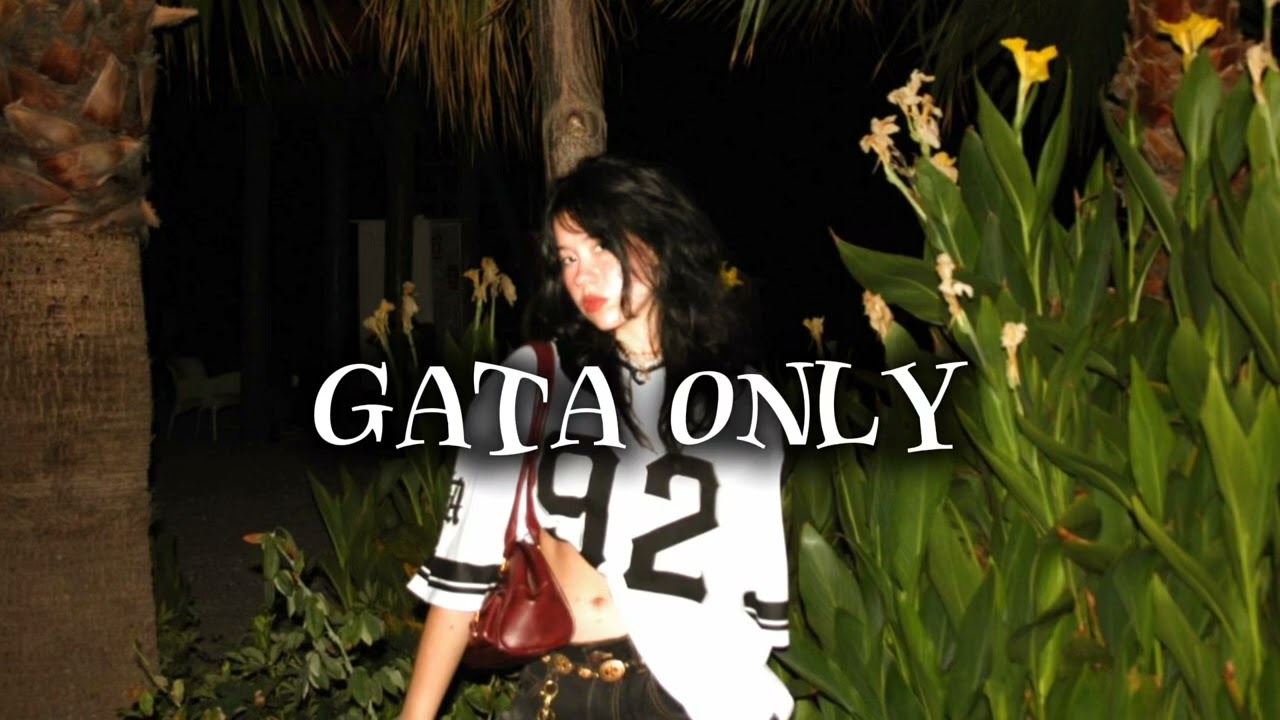 Cris Mj, Floyymenor - gata only remix (perfectly) 