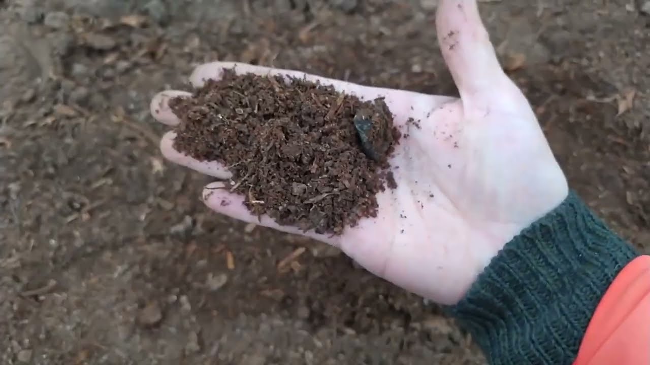 Купила дом в деревне. Мелкими шагами приближаемся к порядку.