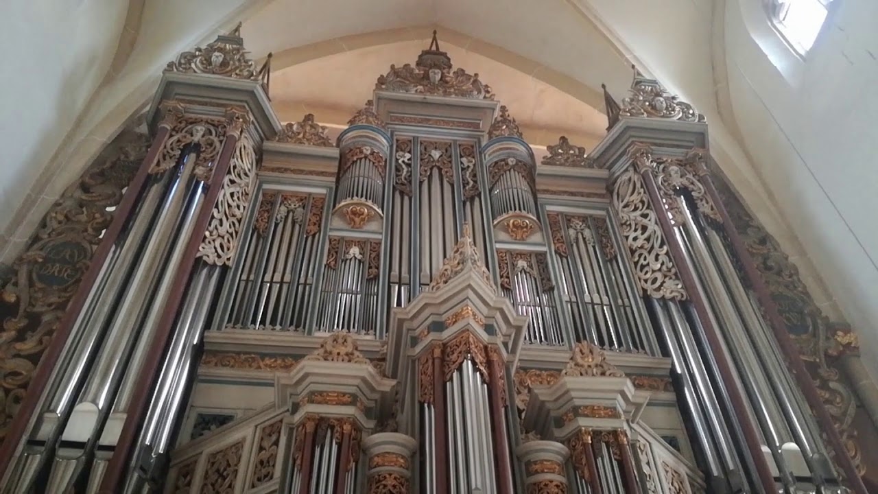 Bach in Erfurt (D).   Prediger Kirche - Manuel Tomadin